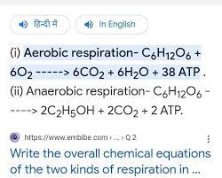 Give The Overall Chemical Equation For