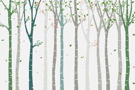Birch Tree Forest With Creative Colors