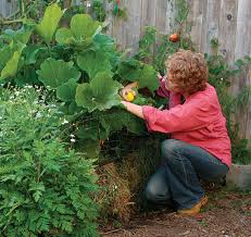 Build A Garden Out Of Straw Finegardening