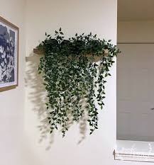 Make A Floating Plant Wall Shelf