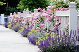 Narrow Planting Strip