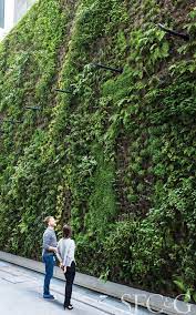 The Largest Vertical Garden In The