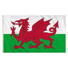 5ft X 3ft Giant Country Welsh Flag