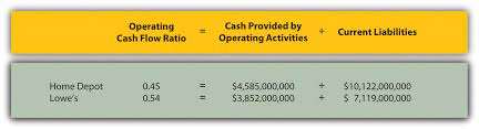 Yzing Cash Flow Information