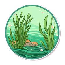 Pond Icon Png Images Vectors Free