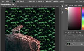 Paint Bucket Tool In Photo