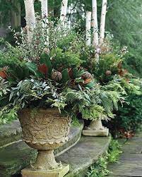 Winter Container Gardening