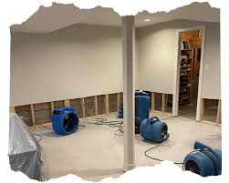 Wet Basement Restoration 5starcleaning