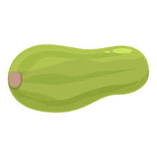 Whole Zucchini Icon Cartoon Vector
