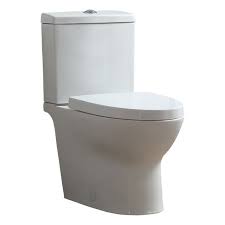 Toilet Elongated Bowl Dual Flush