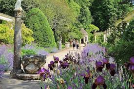 Topiary Gardens Near Me Great British