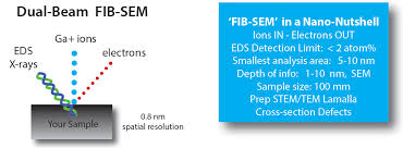 fib sem eds elemental ysis