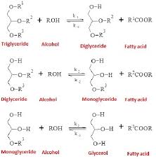 Transesterification Reaction Steps Of A