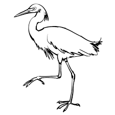 White Vector Line Art Ilration Of Heron