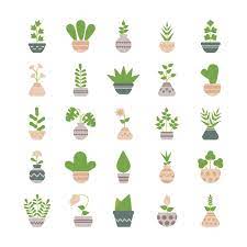 100 000 Houseplant Vector Images