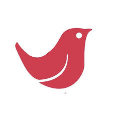 Redrockingbird