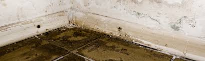 Residential Sewer Backup Sewage