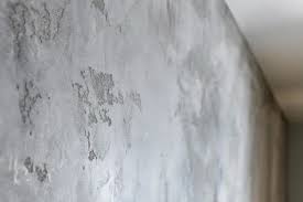 Plaster Wall Finishing Services At Rs