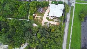 Top View Of Garden With Trees At