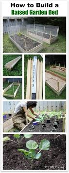 How To Build A Diy Raised Garden Bed