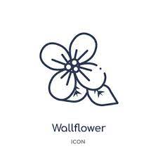 Wallflower Images Browse 6 073 Stock