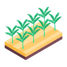 Aeroponic Bed Icon In Isometric Style