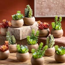 Artificial Mini Potted Succulent Set