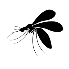 Mosquito Icon Logo Vector Design Template