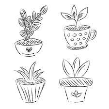 Set Of Flowers House Plant Hand Drawn