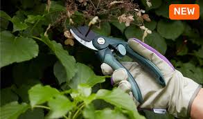 Gardening Tools Equipment Outdoor