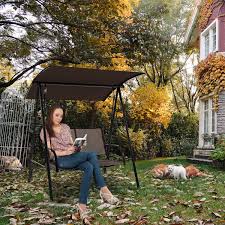 2 Seat Outdoor Canopy Swing With