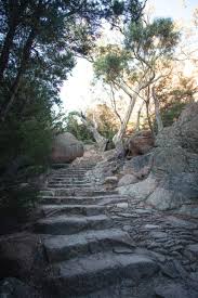 Mount Freycinet Summit Hike In Tasmania