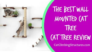 The Best Wall Mounted Cat Tree