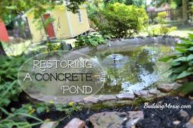 Concrete Pond Repairing S