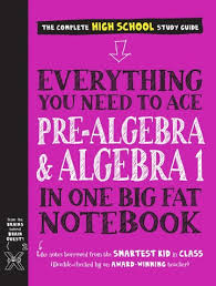 Algebra I In One Big Fat Notebook