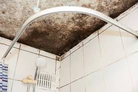 To Get Rid Of Mould