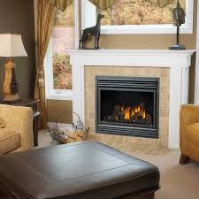 Gas Fireplace Napoleon Bgd36