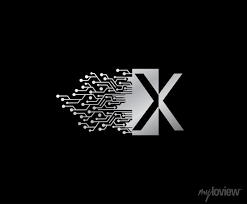 Digital Network X Letter Logo Icon