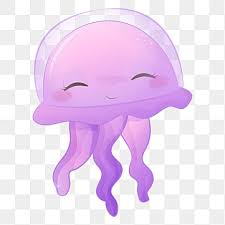 Jelly Fish Png Vector Psd And