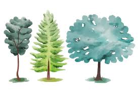 Watercolor Trees Images Free