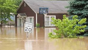 Cleaning Up After A Hurricane Or Flood