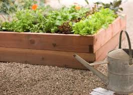 5 Favorites Raised Beds For The Garden