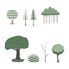 Natural Bush And Garden Trees