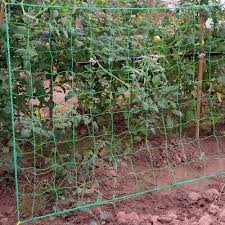 Cucumber Trellis Netting Frame