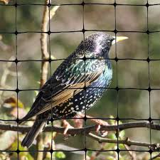 Bird Netting