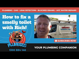 Smelly Toilet Plumbdog Plumbing Perth