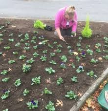 Moss End Garden Village Turn Purple For