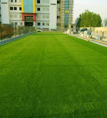 Artificial Grass For Walls Upto