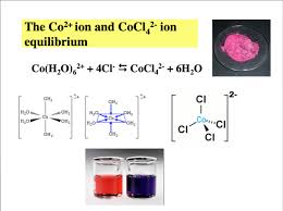 Cobalt Chloride Equilibrium Influence