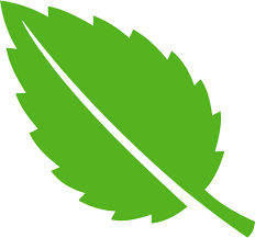 Leaf Green Icon Png And Svg Vector Free